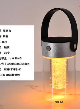 新款皮手提触革摸台LED户外营露充电氛围灯灯卧室桌面床头SM-6101