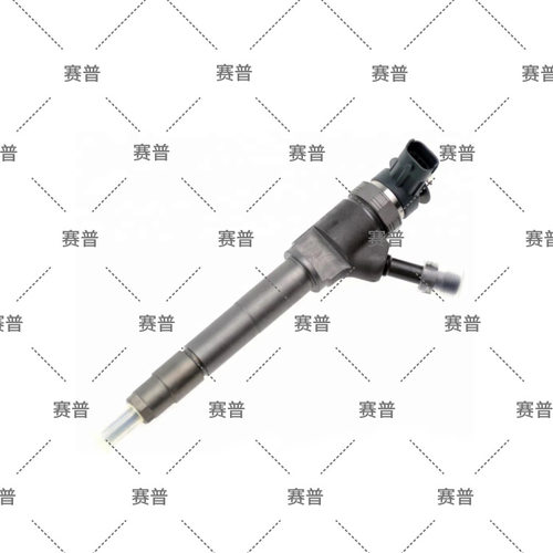 柴油喷油器共轨喷油器 0445110250 WLAA13H50