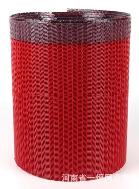 压字滤机网带红色网螺旋干网聚酯人形LXW滤造纸网高压复合机输送