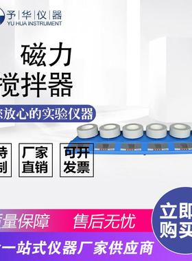 ZNCL-DLSZCL-DLmS-6联100lN250mlm500ml1000l数显磁力搅拌电热套