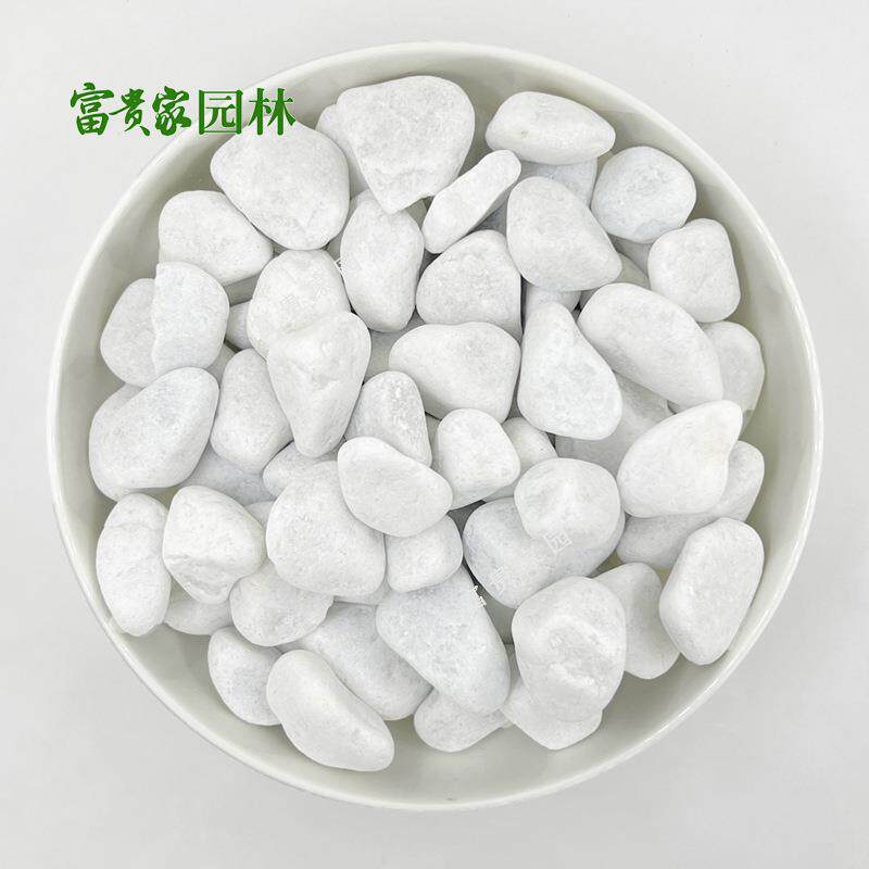 水洗石富323贵家林机磨鹅卵石子筑中山建铺路透水石子白色园铺面