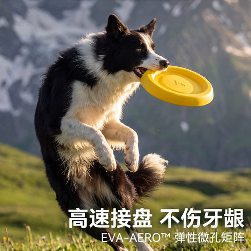 狗狗飞盘玩具可浮水边牧柯基中大型犬互动耐咬宠物玩具训练巡回