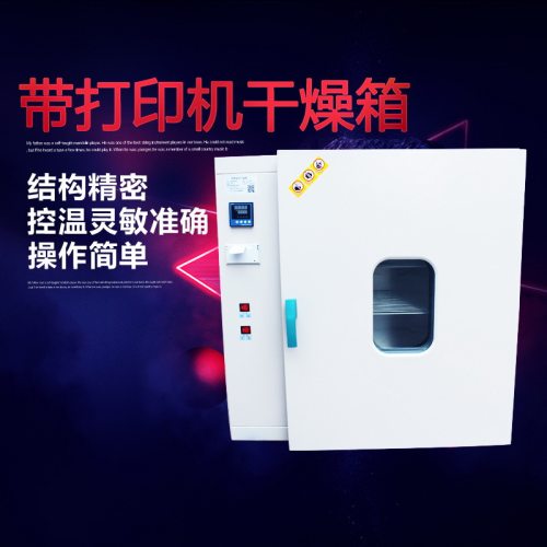 精密恒温恒湿鼓风干燥箱带打印机