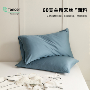 高端夏季 纯色60支进口天丝枕套单只48cmx74cm冰丝枕头套一对家用