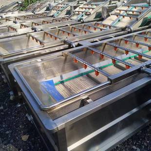 多功能全自动果蔬蔬菜清洗机气泡式 喷淋豆角清洗机喷淋洗菜机设