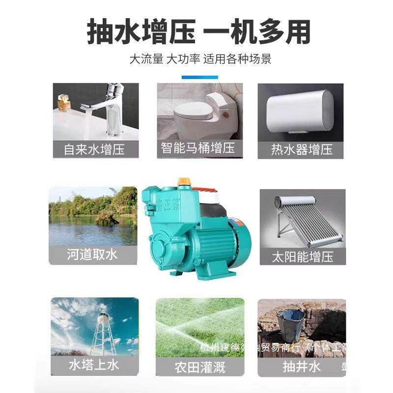直销家用自吸dszxzdfw泵220小型V自泵来水管道加压循水井抽水泵机