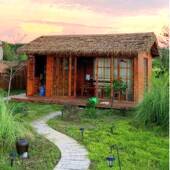 防VDS腐木茅草屋户凉亭庭院木房子茶农村小院室稻草棚外木网红小