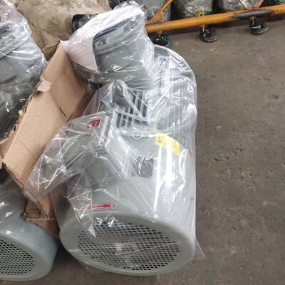 110KWIP55IP68V1异步电机
