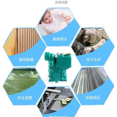25ZDB-0.750泵W清水自吸泵0/小型电动三相38V用自吸式水井抽吸水