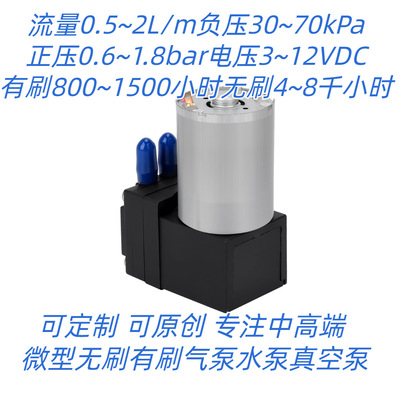 超微型迷你真空泵气体检测