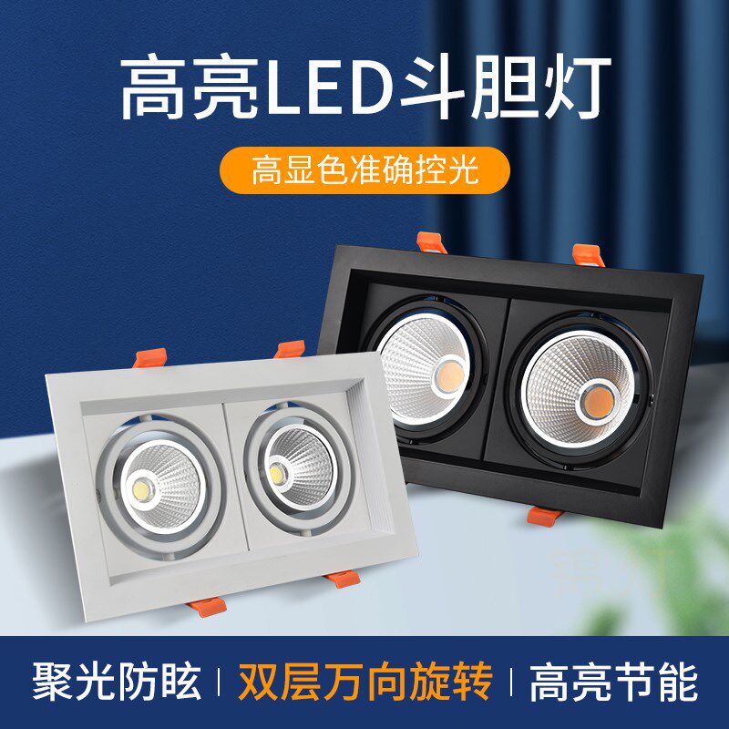 斗胆灯双头射灯led嵌入式格栅灯双眼COB天花灯20x10方通黑色客厅