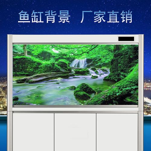 定制鱼缸背景贴纸高清鱼缸壁纸水里石头图案3d立体水族箱背景壁画