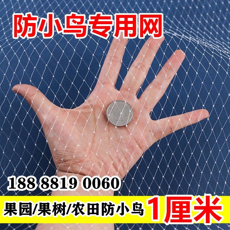 果树防鸟网小网孔果园天网尼龙网农用防鸟丝网樱桃嘉宝果树防护罩
