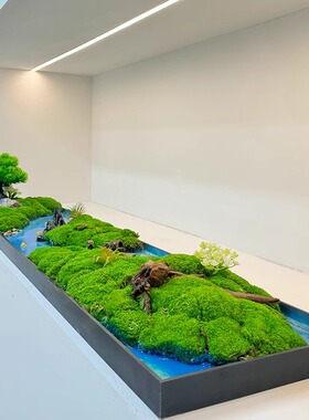 苔藓青苔造景会议桌面摆件隔断软装苔藓绿植过道布置山水微景观