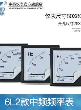6L2中表频率100v1000hz154200hz2000hz指针赫兹表8频0*800mm450HZ