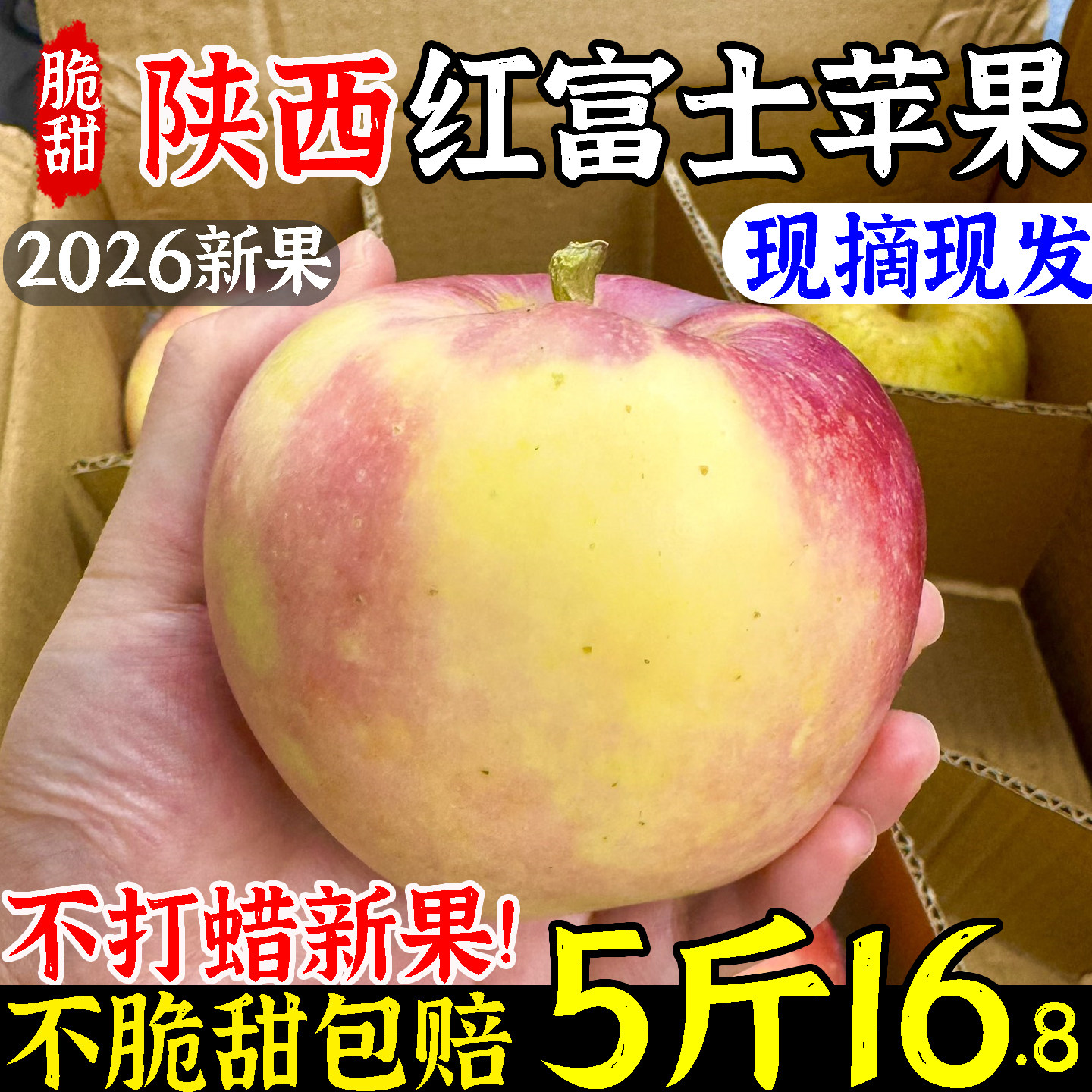陕西直发洛川苹果整箱16.8