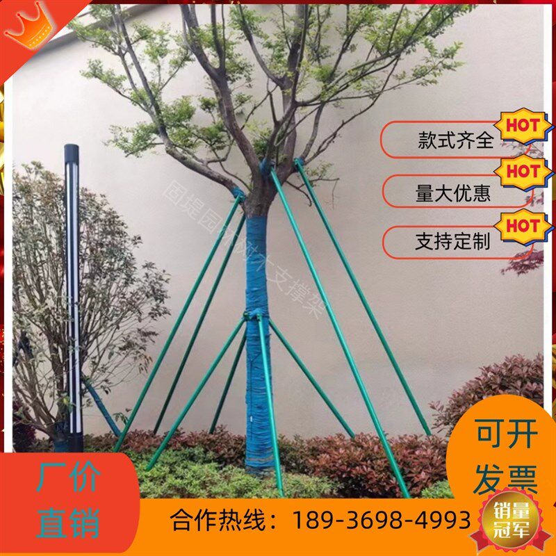 树木支撑架钢管固定器行道大树支撑杆乔木防风园林烤漆镀锌树支撑