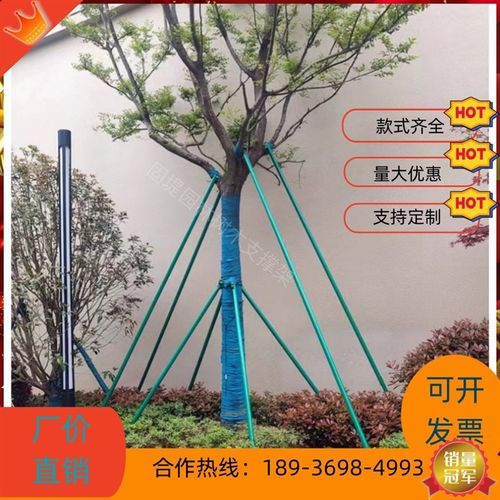 树木支撑架钢管固定器行道大树支撑杆乔木防风园林烤漆镀锌树支撑