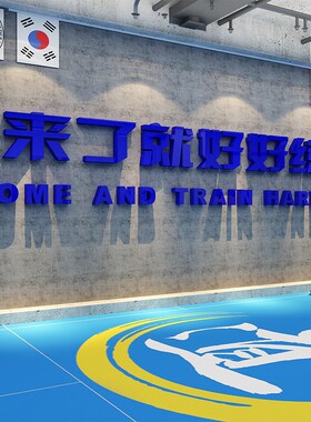 跆拳道馆内武术健身房墙面装饰海报搏击布置文化背景标语贴纸挂画