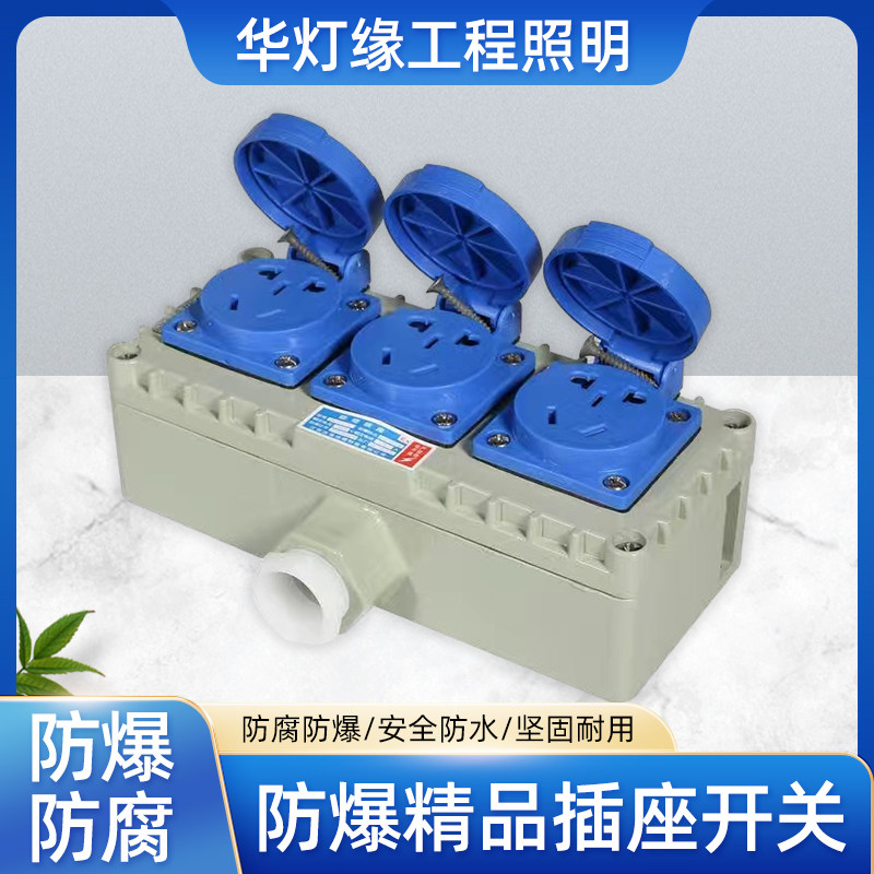 防爆精品插座220V10A明装5孔10孔工业单联多联双切墙壁开关大功率