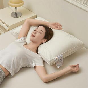 A软类店酒全棉刺绣蚕丝枕四头立体双边枕芯季A类酒店家用柔舒服睡