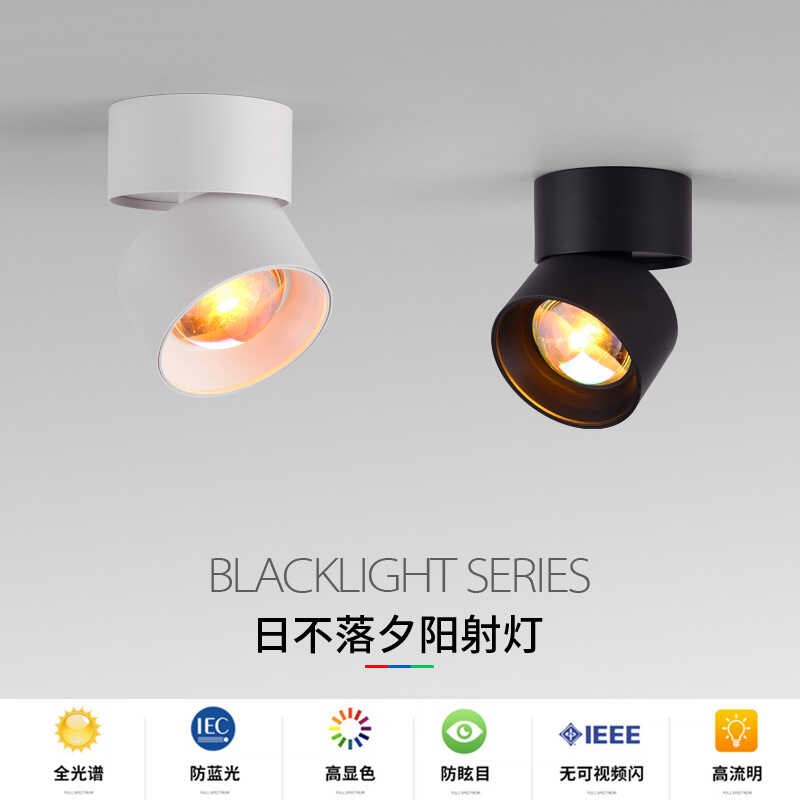 日不落射灯可调角度家用客厅氛围灯明装玄关过道壁画夕阳日不落灯