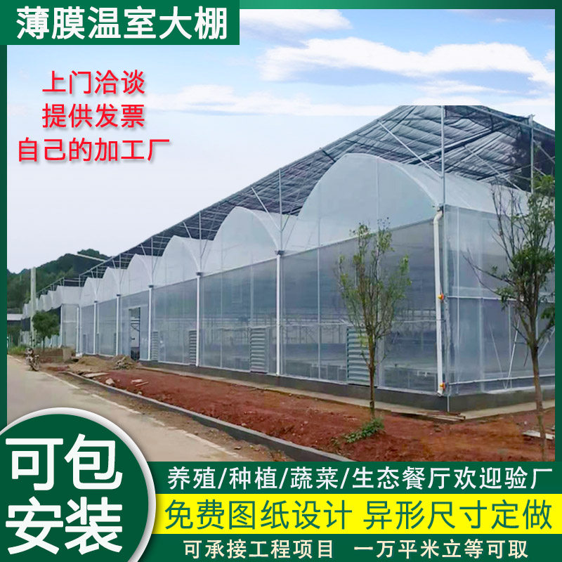 连栋大棚温室安装连体温室大棚工程承接农业镀锌钢管骨架养殖棚
