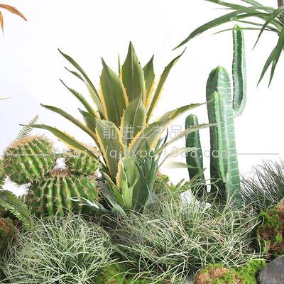 热55689s带绿植景巴观室内展厅仿真植物栽西铁龙盆舌兰栽仙人球盆