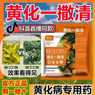 黄化一撒清改善柑橘黄化转绿灵套餐骠骑补充营养果树园子颗粒肥料