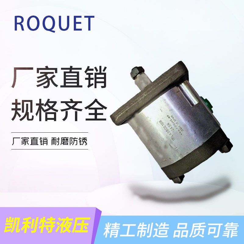 ROQUET双联齿轮泵1LQ1.5-1.5DE10R 1LQ3-1.5DE10R油泵1LQ3-3DE10R,标准件/零部件/工业耗材,液压泵,淘宝优惠券,粉丝福利购,淘宝优惠卷