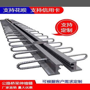 480型F 置 D60 RG异型钢装 240 160 C40 公路桥梁伸缩缝GQF