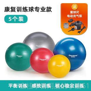 高档康复训练瑜伽成人用4球5cm产修复后儿童专感统核心平衡球巴氏