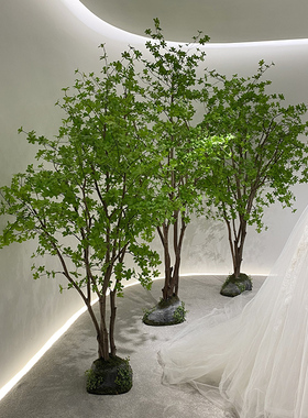 仿真青枫树山茶树尤加利吊钟马醉木大型绿植绿色树假树盆景多瓣叶