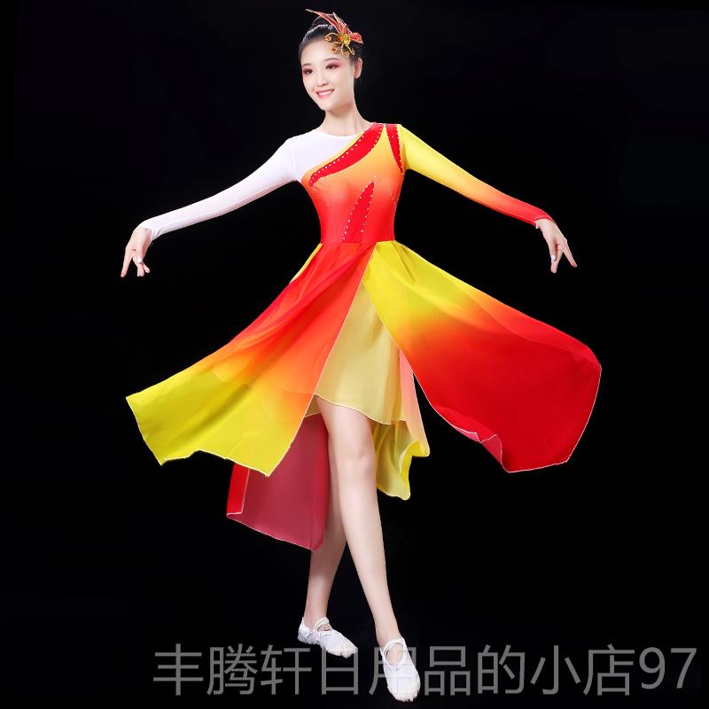 正品现代舞广演出服女成人2024夏季新款国中古典飘逸连衣裙场风舞