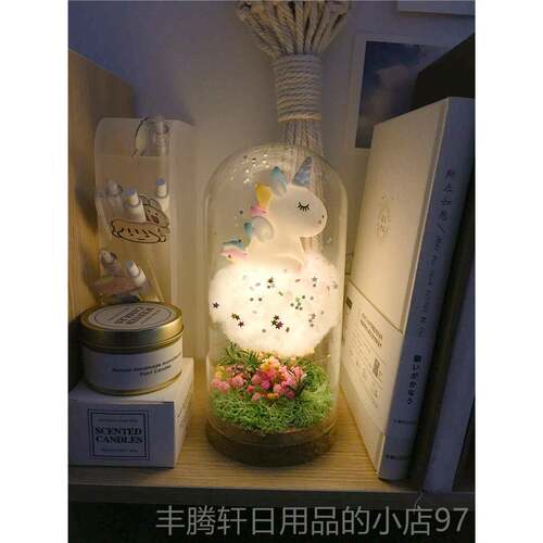 正品小王小夜灯DIY圣诞手工节礼物少女心闺蜜生永日母子亲520生花