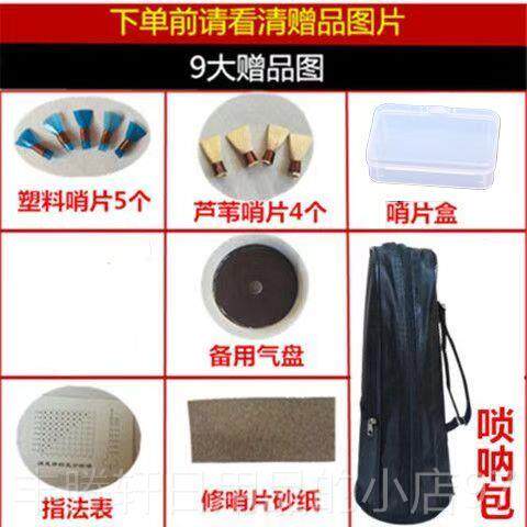 正品燕精品乌木唢呐京全初学者乐器大A B 升C D降E小FG调纯铜大套