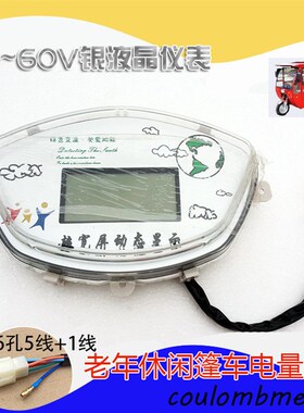 老年电动休闲三轮车电动汽车 篷车封闭48V60V液晶仪表电子显示屏