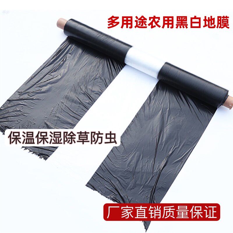 黑白相间农用地膜单白双白地膜黑白膜保温保湿除草膜果树膜
