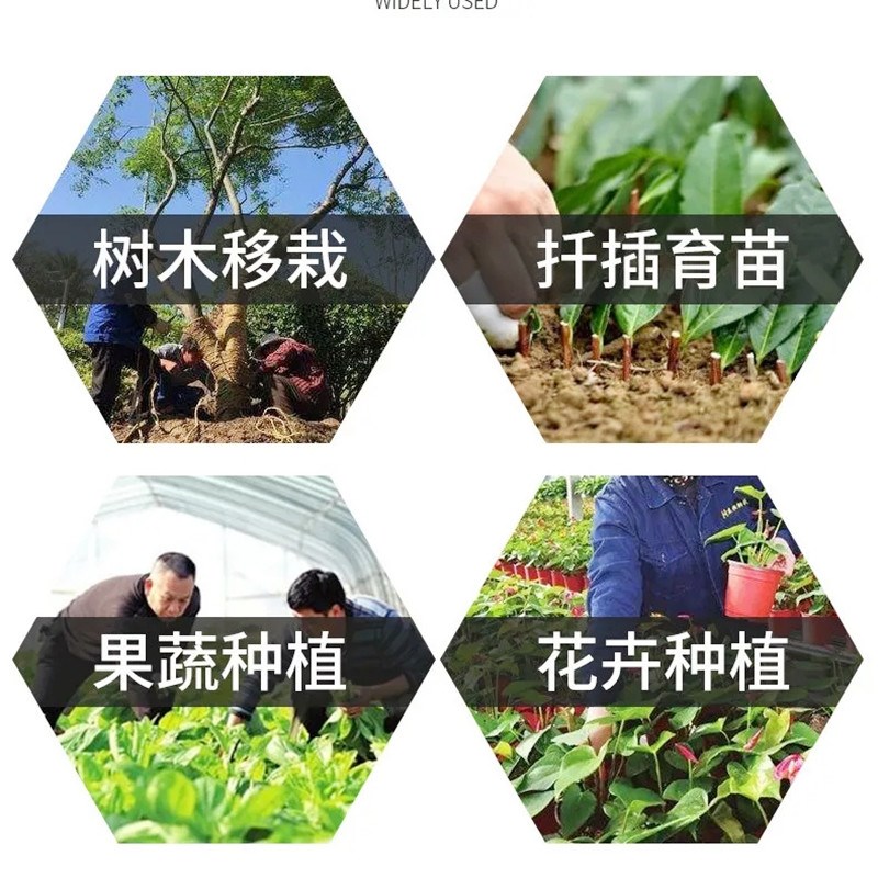 生根壮苗剂粉强通用生根液移栽扦插绿萝生发根剂花卉果树叶面肥力