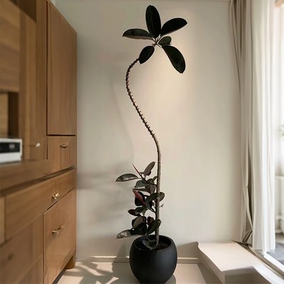 黑金刚仿真绿植高级感客厅装饰落地摆件室内大型盆栽假树仿生植物