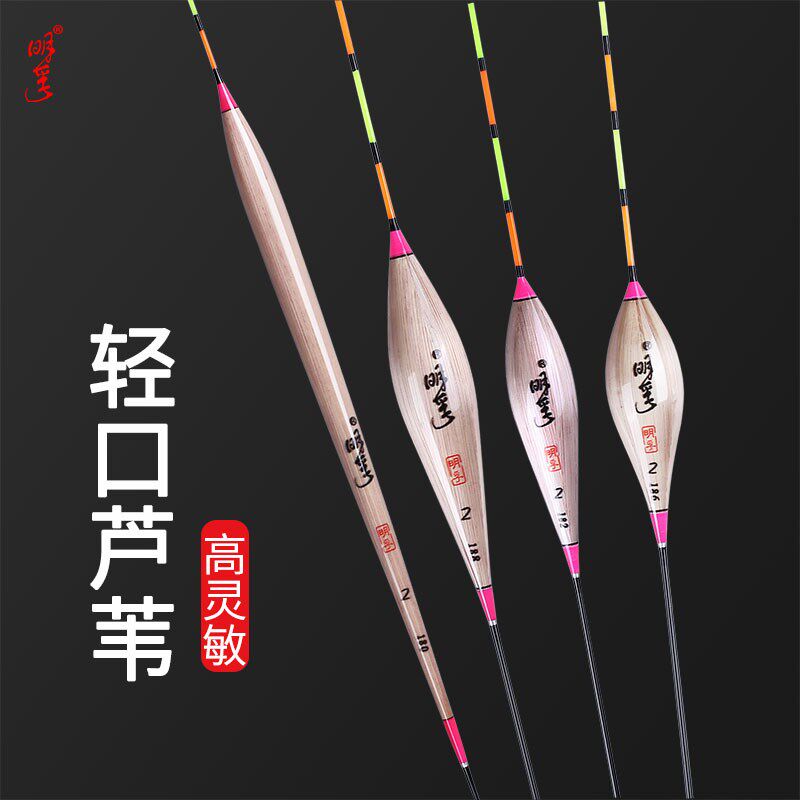 明孚芦苇鱼漂高灵敏加粗醒目近视黑坑竞技行程枣核漂混养硬尾浮漂