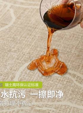 异AFQ形不规地毯客厅耐脏易理2新025款免洗可擦复古沙打发卧则室