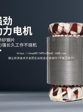 不锈钢清水用泵CEA20V家用抽机农水田灌溉农小2型扬程高压潜水泵