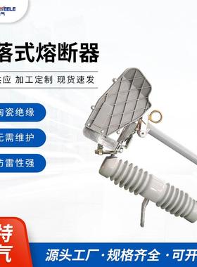 户外高压跌落式熔断变压器保险开NXC-12F/关XC-12/200AF跌N落式熔