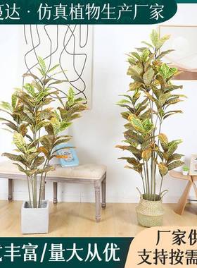现货木室31085装饰仿真洒金型榕盆栽庭院酒店造景绿化大变内色洒