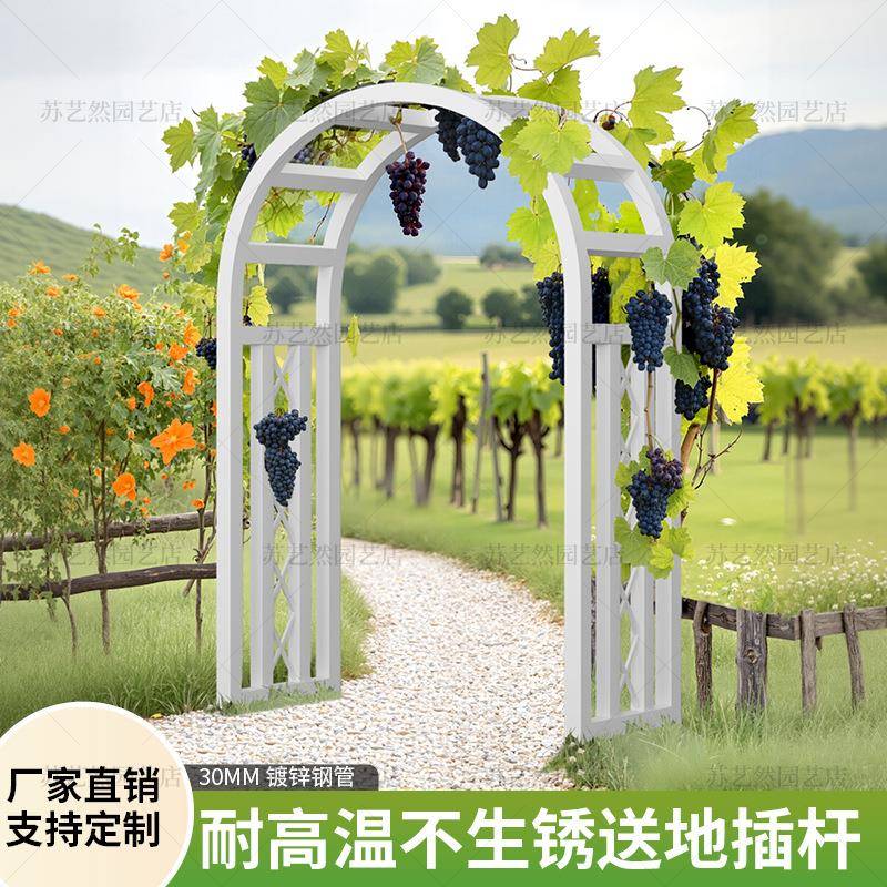 新款欧式镀锌外管加ZRF粗架方管爬架庭院户藤拱门花花架耐用葡萄