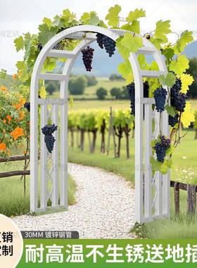 新款欧式镀锌外管加ZRF粗架方管爬架庭院户藤拱门花花架耐用葡萄