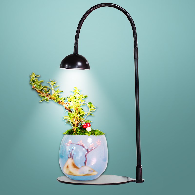 定时led微景观灯桌面USB插头仿太阳光生态苔藓多肉植物灯盆栽鱼缸