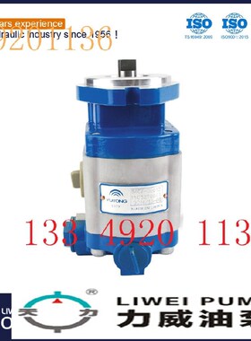 合肥力威汽车转向油泵助力泵 非开挖合肥天力 QC12/23-EQ齿轮油泵