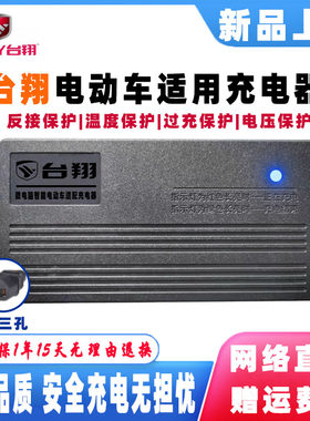 台翔电动车充电器48V12AH60V20AH72V32AH96V50AH铅酸蓄电池电瓶车